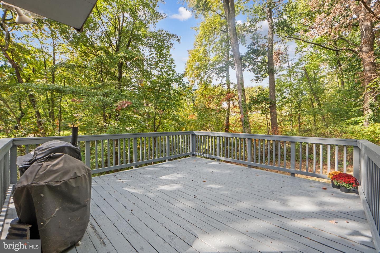 3204 Cheverly Hills Court photo 25