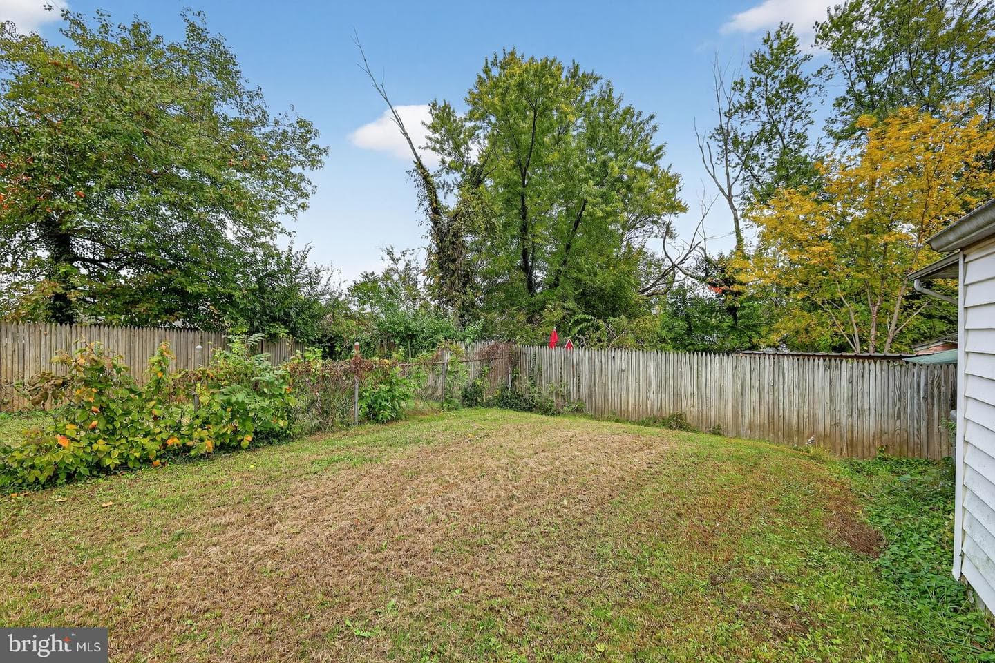 7850 Burnside Road photo 7