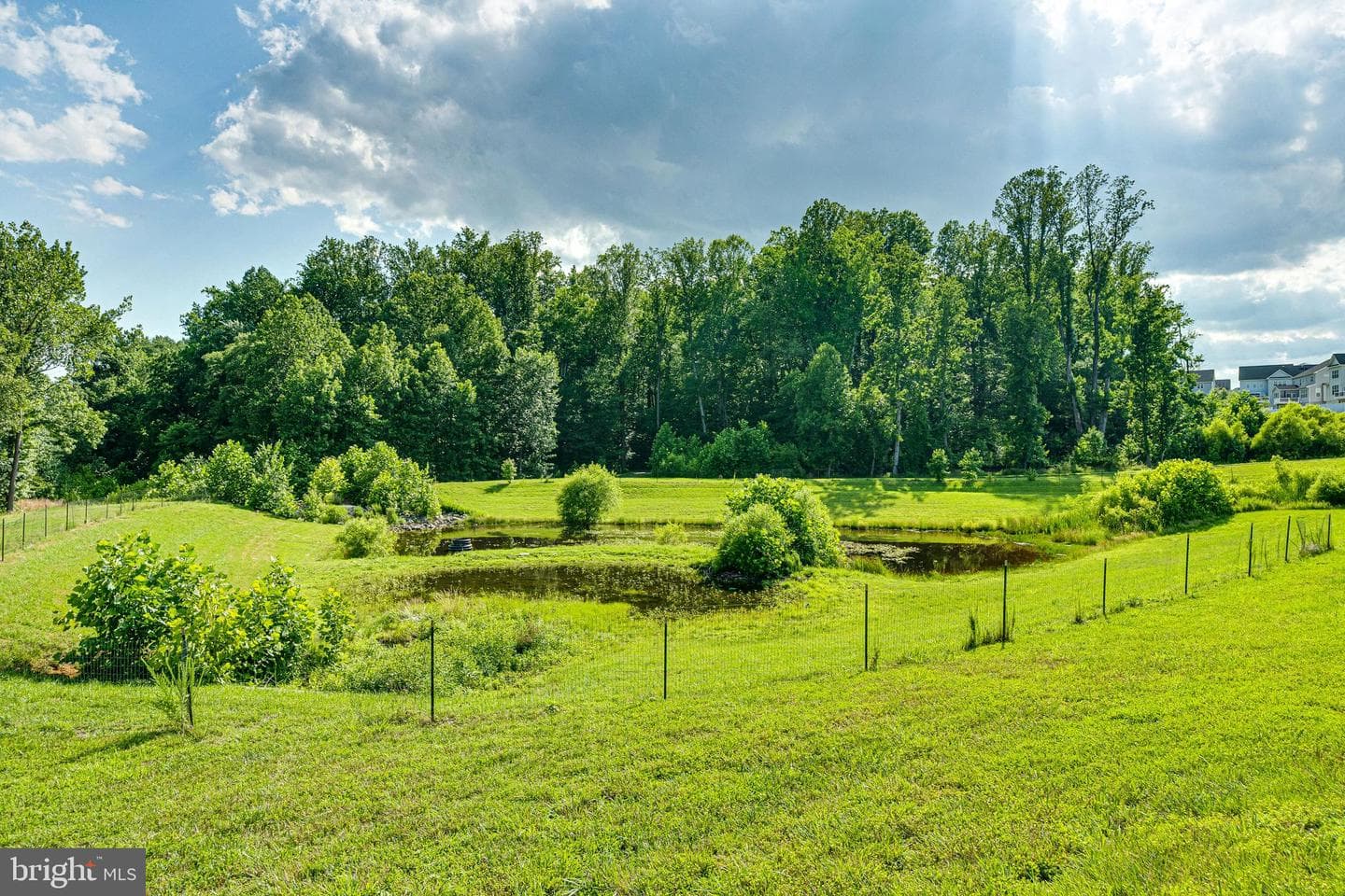 11115 Canter Circle photo 56