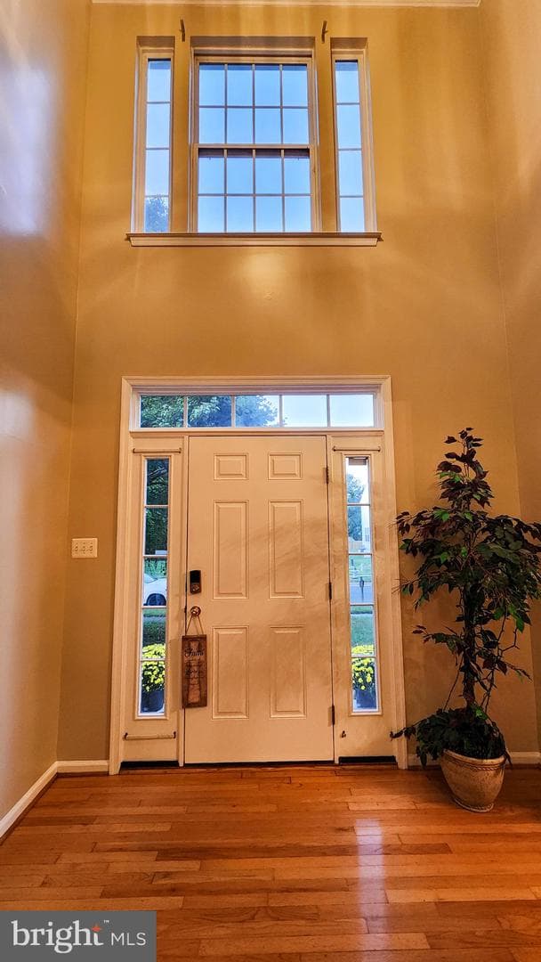 10307 Keepsake Lane photo 11