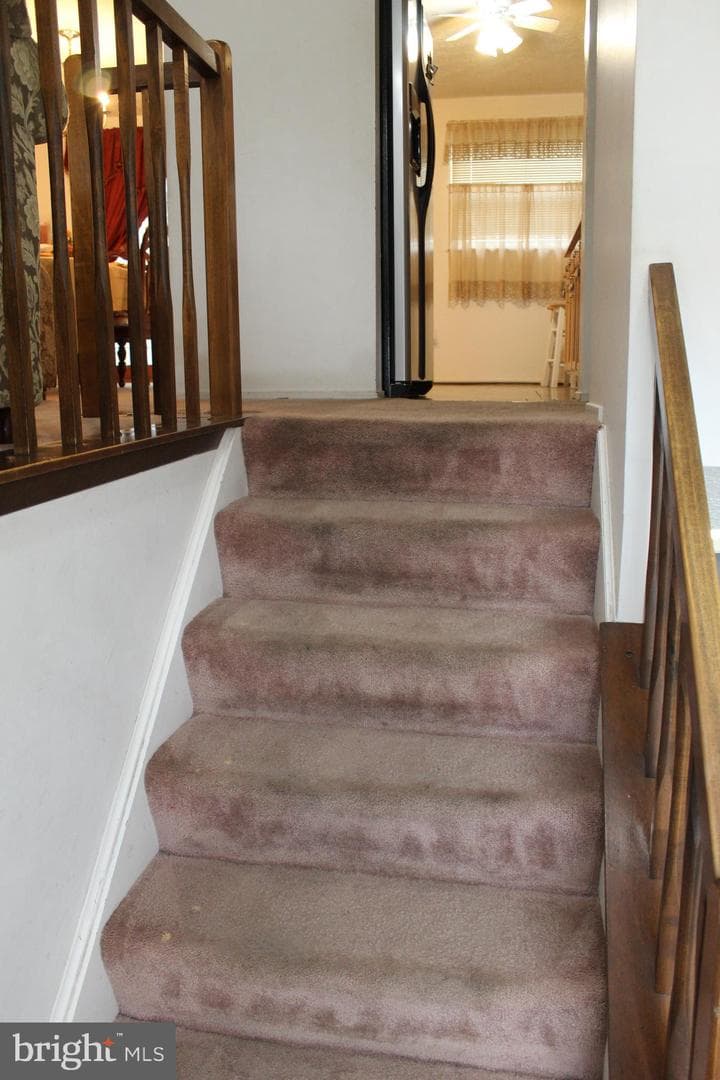 5405 Truoc Court photo 10