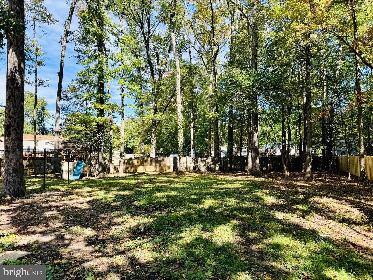12306 Dendron Place photo 48