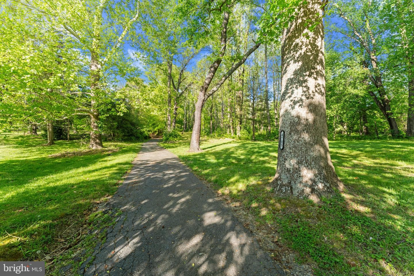 4705 Enterprise Road photo 9