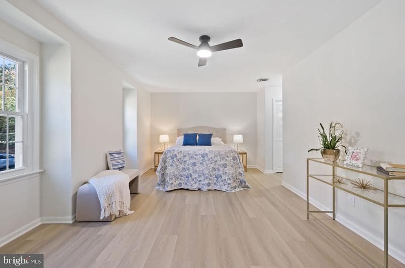 513 Holly Road photo 23