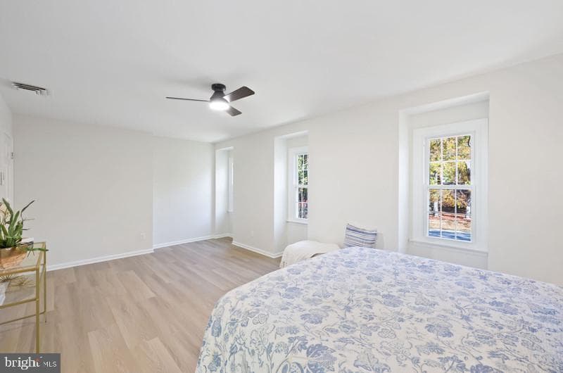 513 Holly Road photo 25