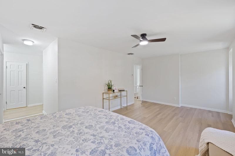513 Holly Road photo 26