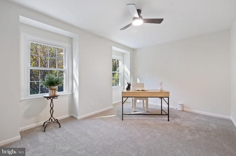 513 Holly Road photo 30