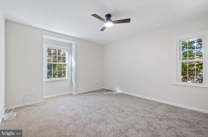 513 Holly Road photo 34