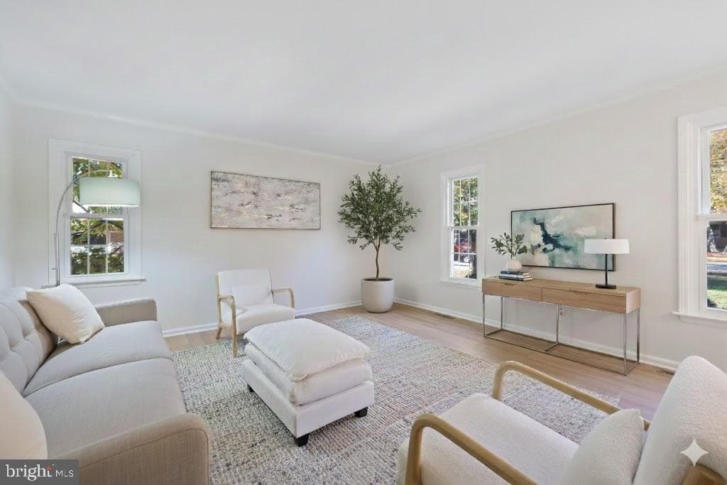 513 Holly Road photo 5