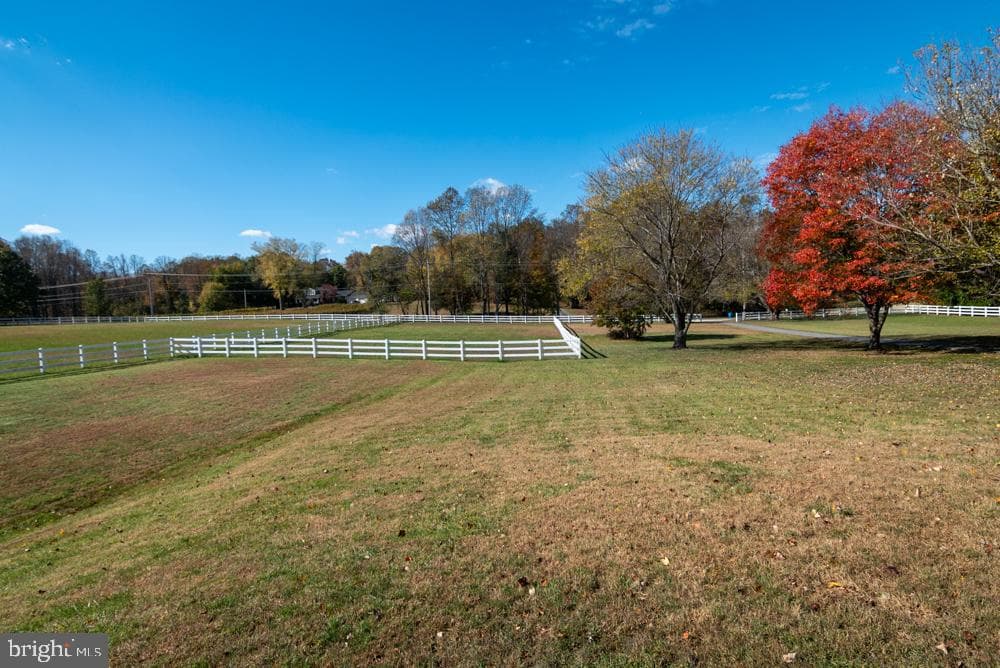 15900 Bald Eagle School Road photo 5