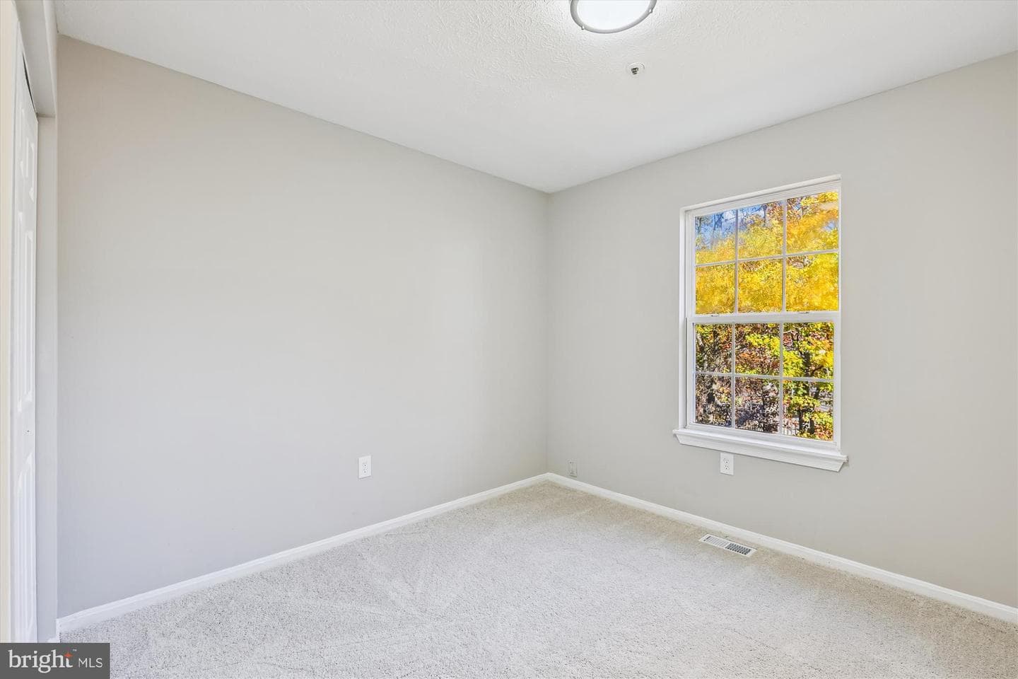 6906 Blue Holly Court photo 15