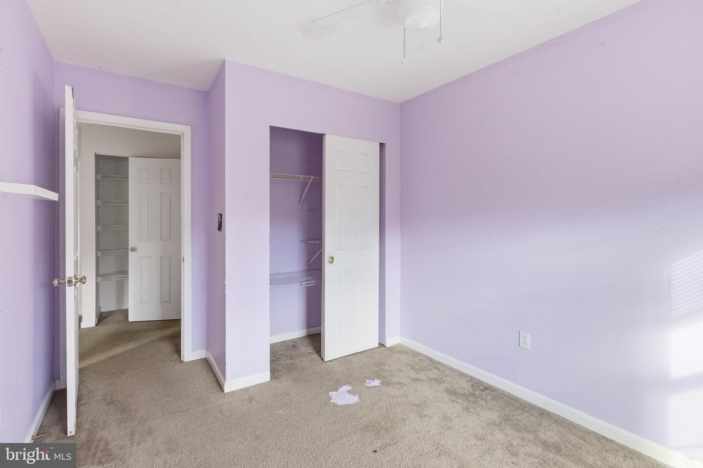2913 Hobblebush Court photo 18