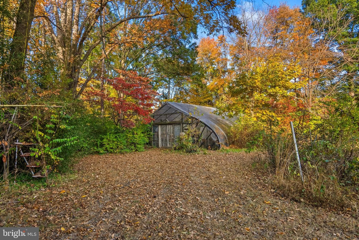 7711 Hillmeade Road photo 5