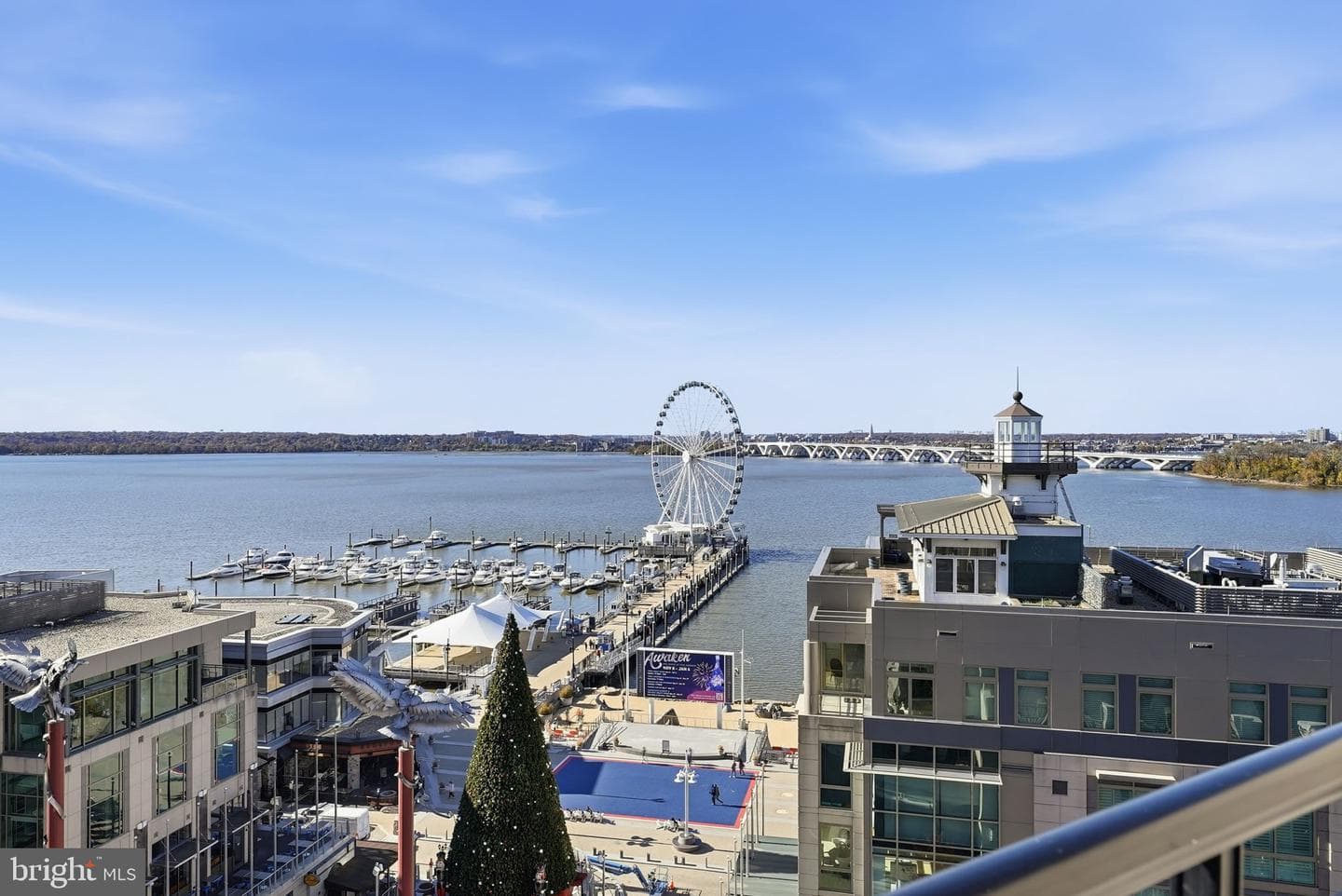 155 Potomac Passage #ph05 photo 4