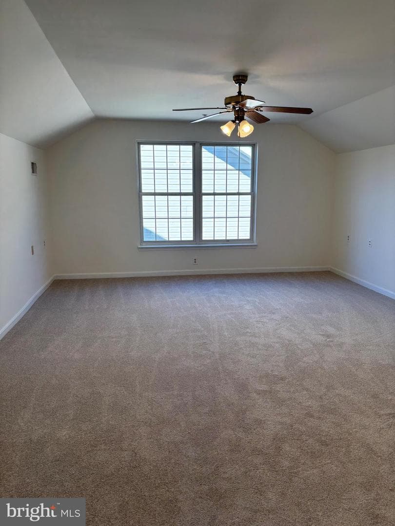 7403 Berryleaf Drive photo 16