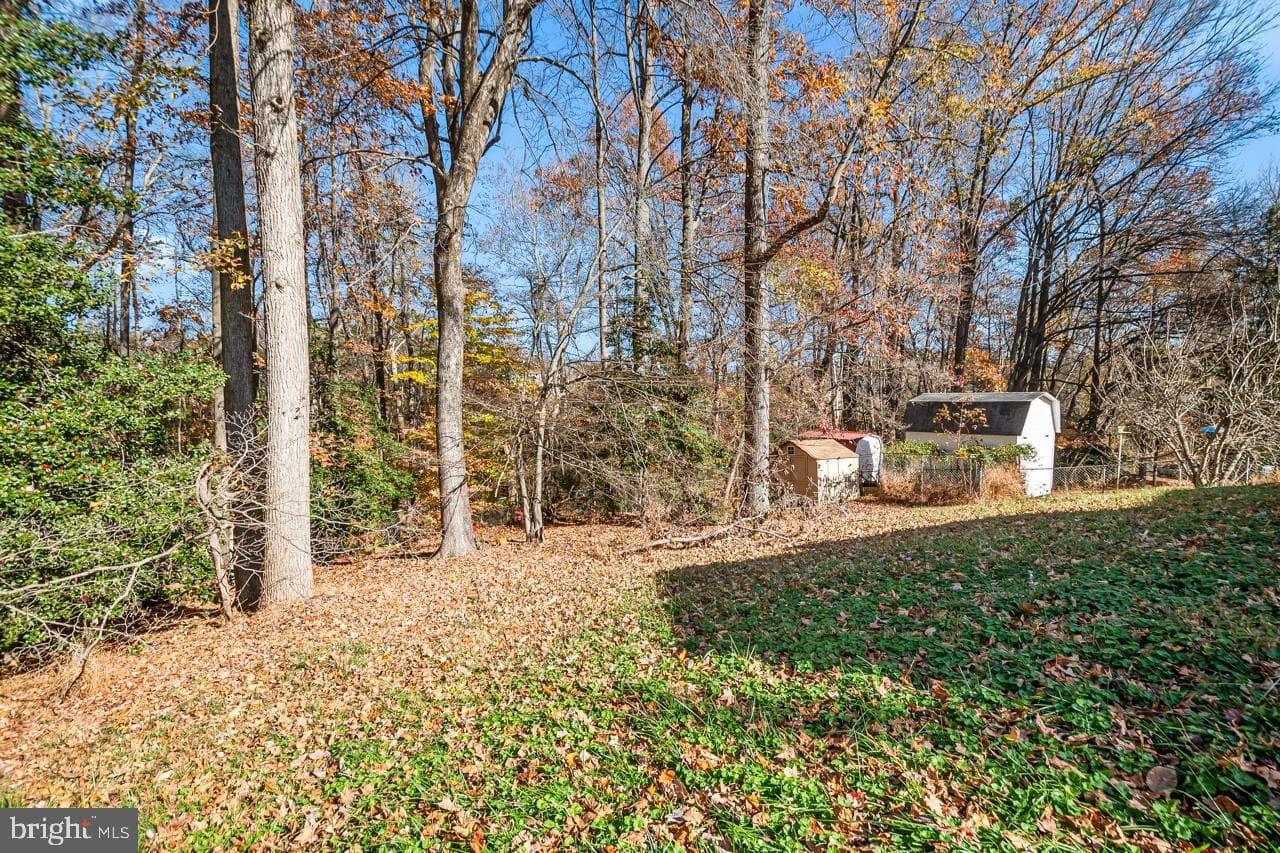 7002 Killarney photo 26
