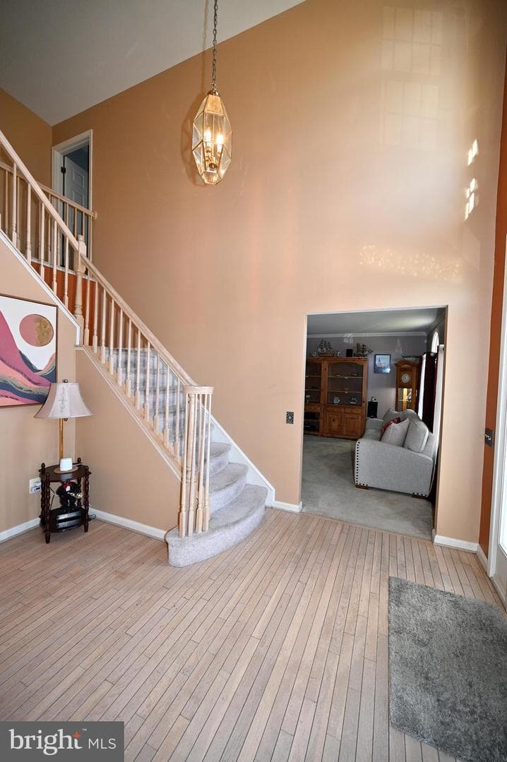 7729 Castle Rock Drive photo 3