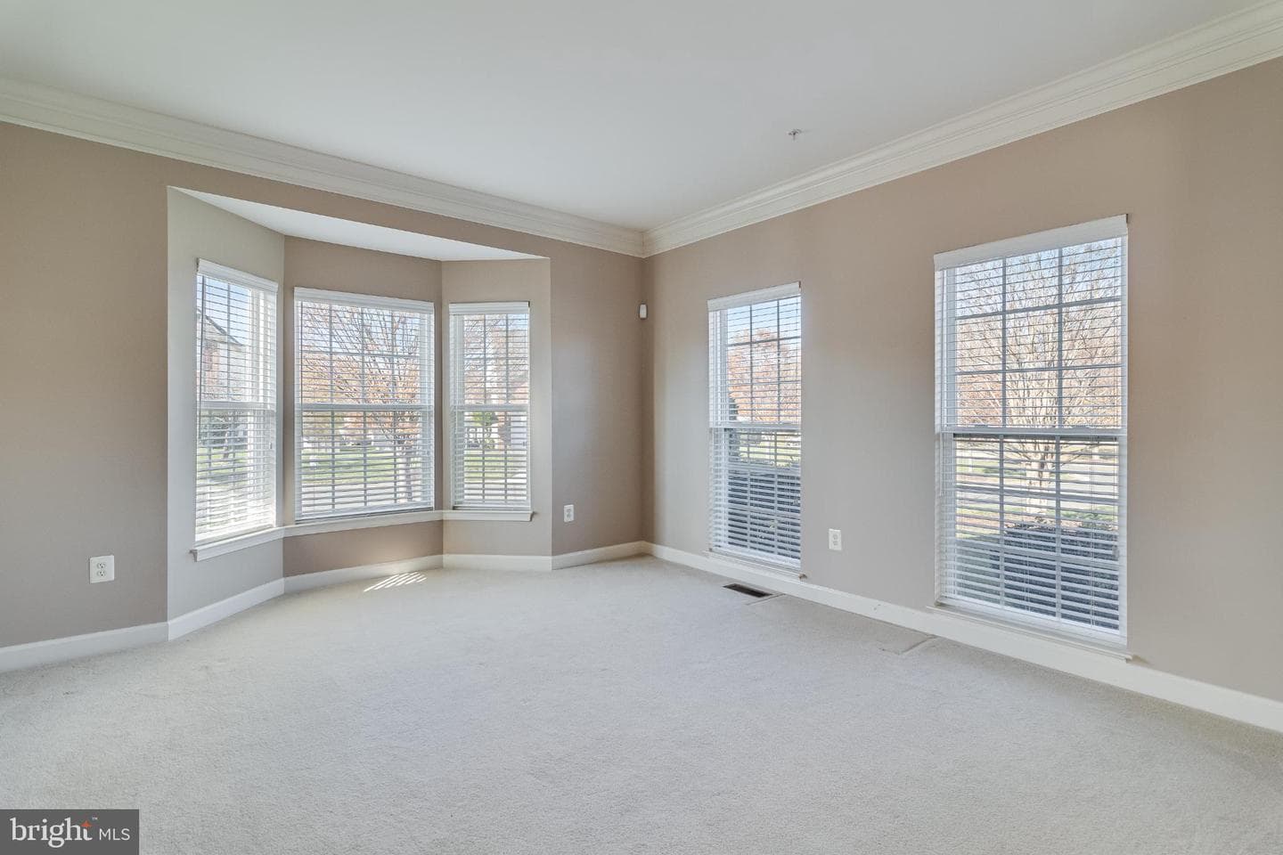 10111 Georgian Lane photo 7
