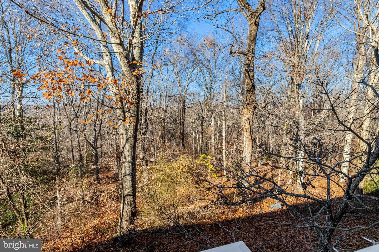 13803 Stroh Court photo 51
