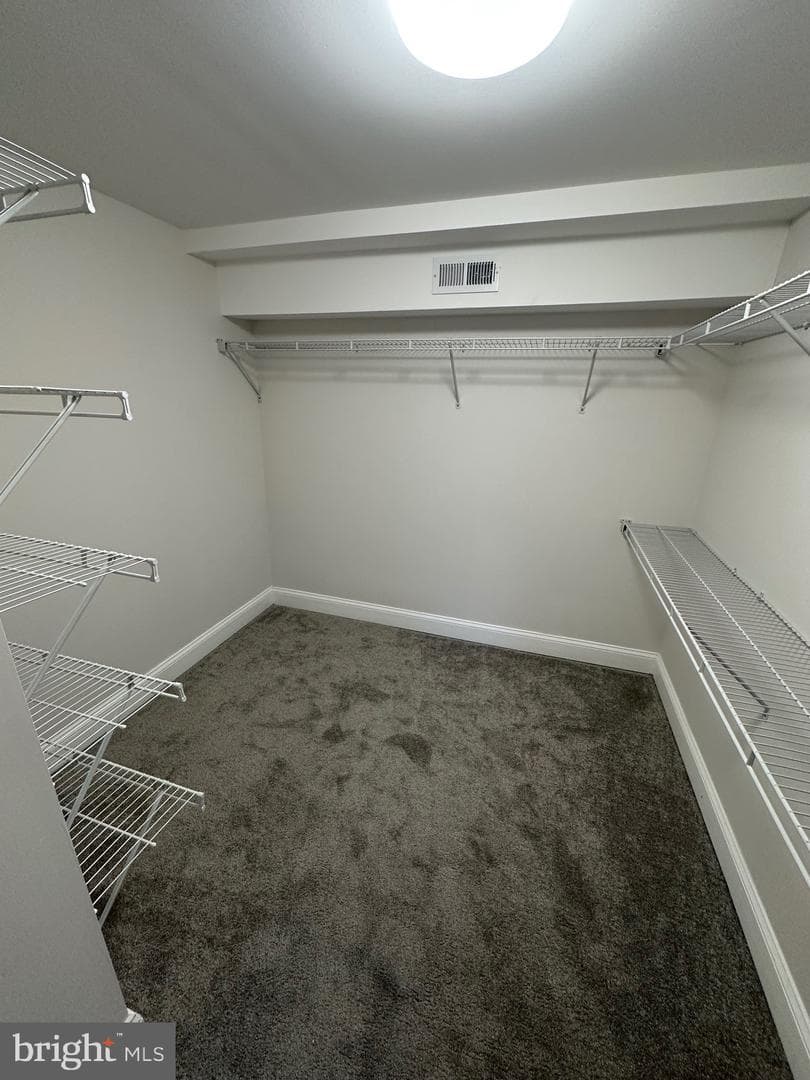 12003 Manchester Way photo 62
