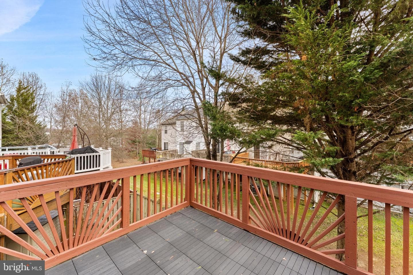 2503 Lemontree Terrace photo 5