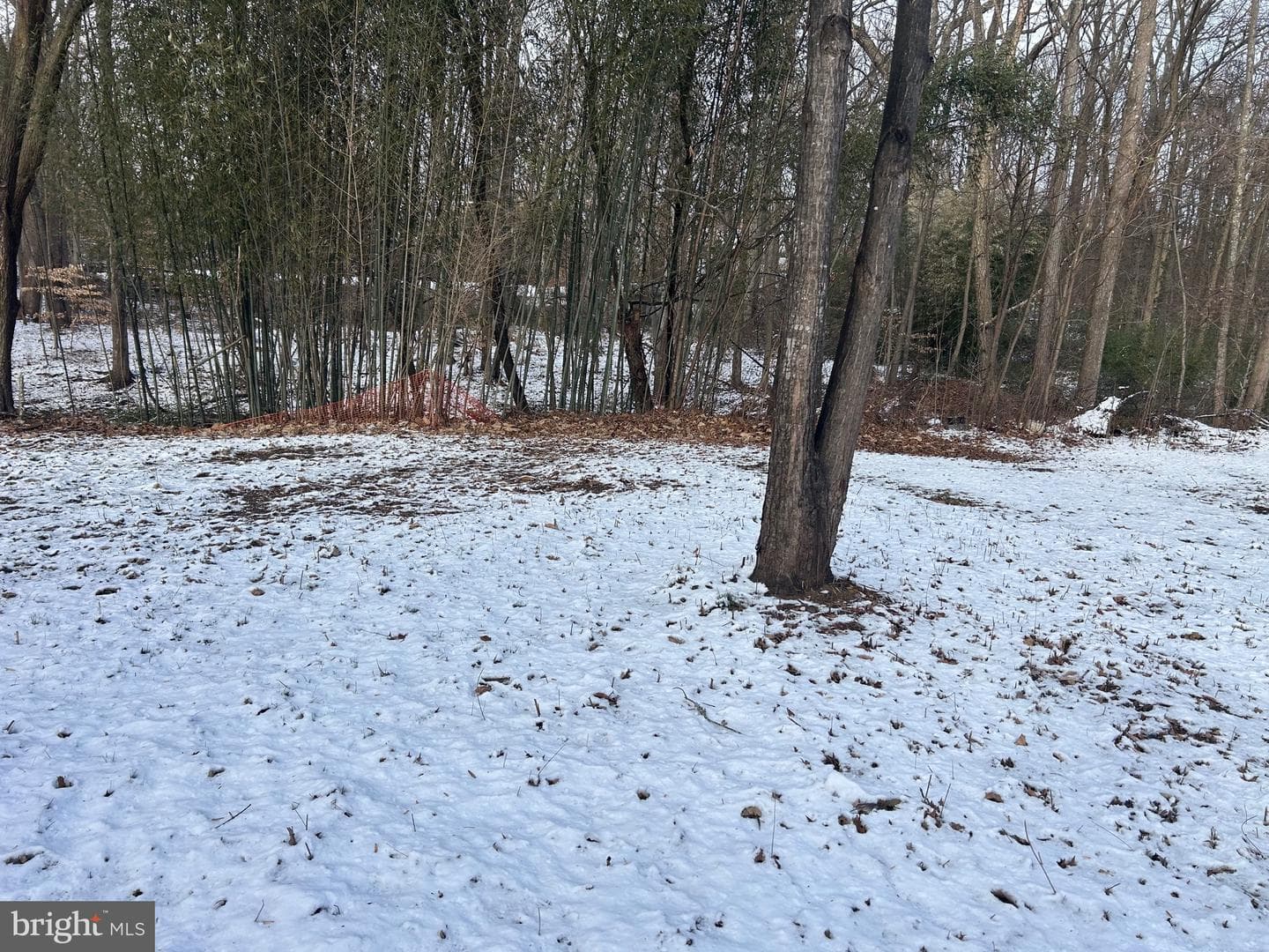 6600 Woodland Road photo 21