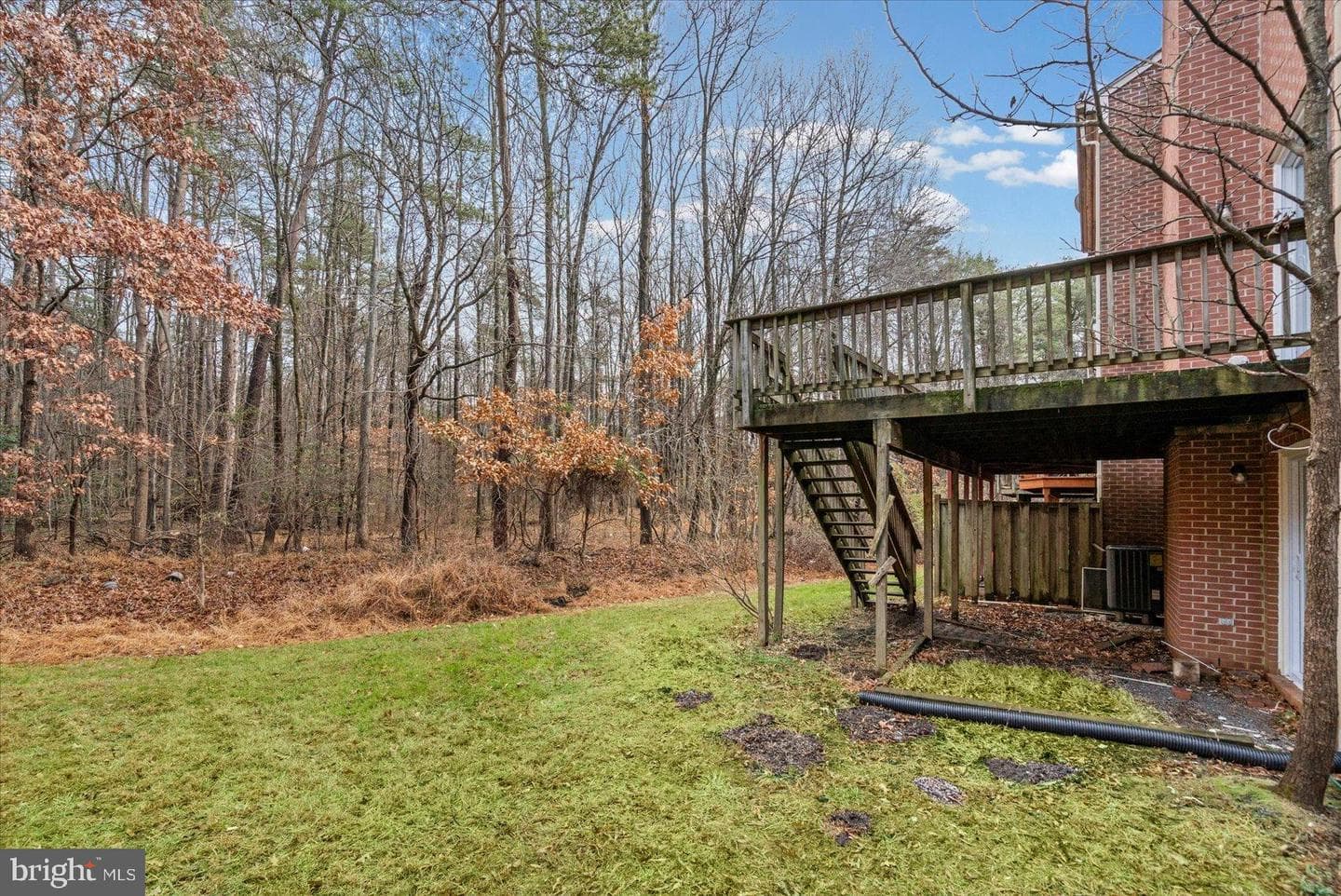 9317 Dortmund Court photo 49