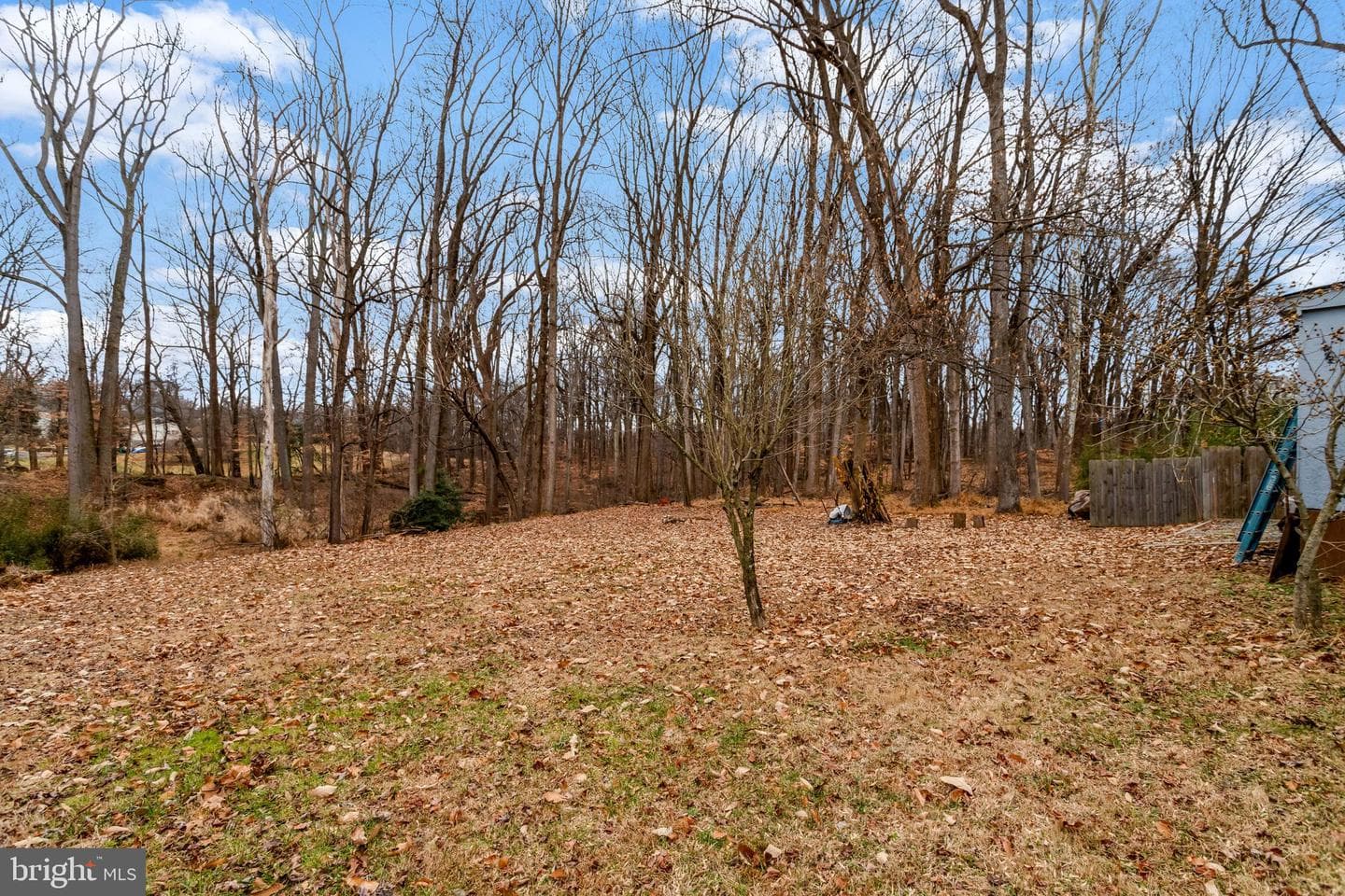 6917 Noah Drive photo 8