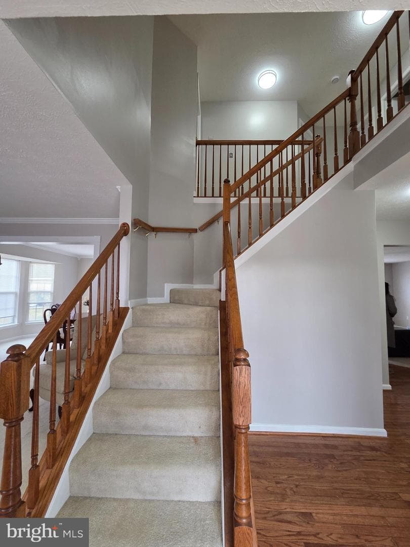 1104 Old Cannon Road photo 6
