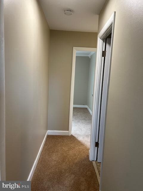 6221 Dimrill Court photo 29