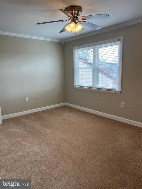 6221 Dimrill Court photo 54