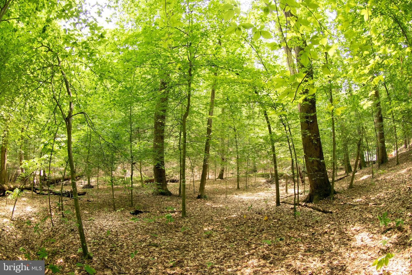 2720 Hidden Valley Road photo 33