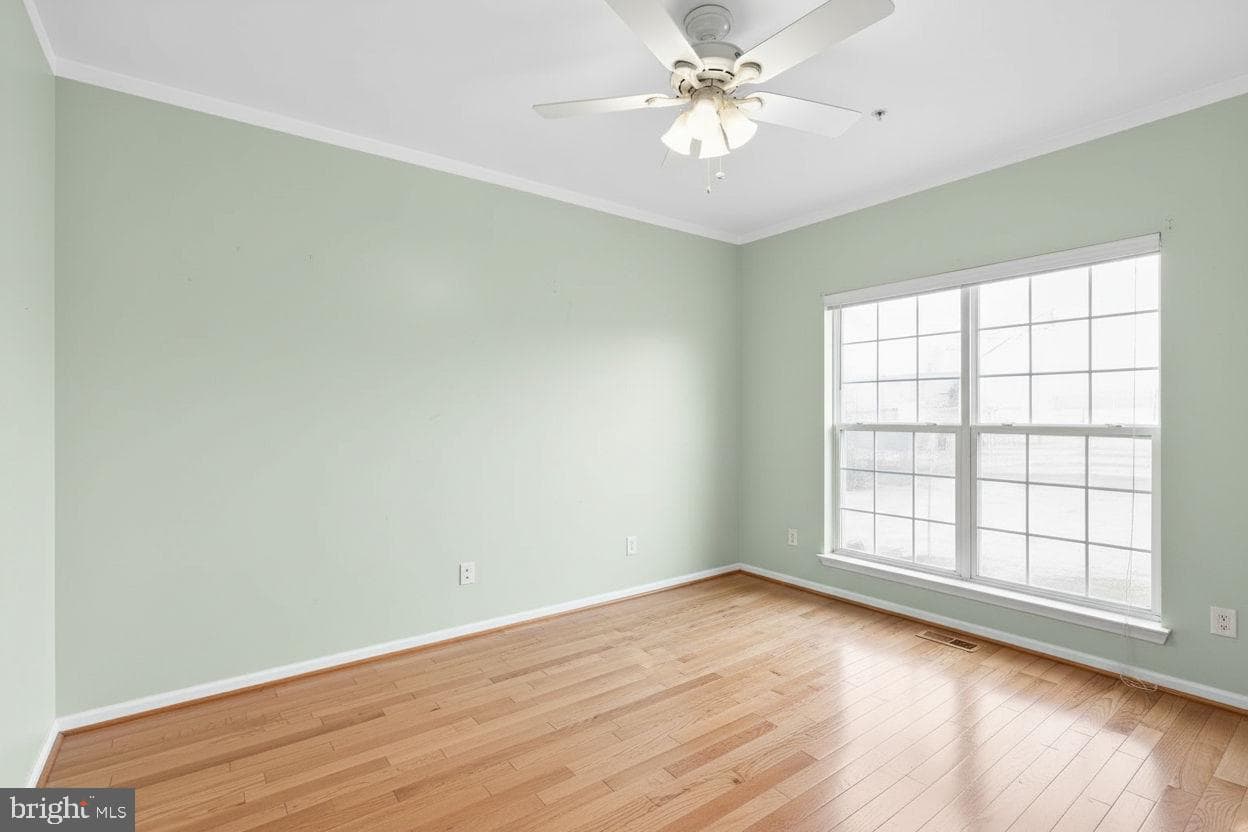 7406 White Plains Lane photo 9