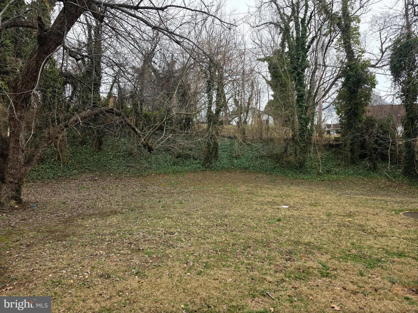 12902 Brunswick Lane photo 7