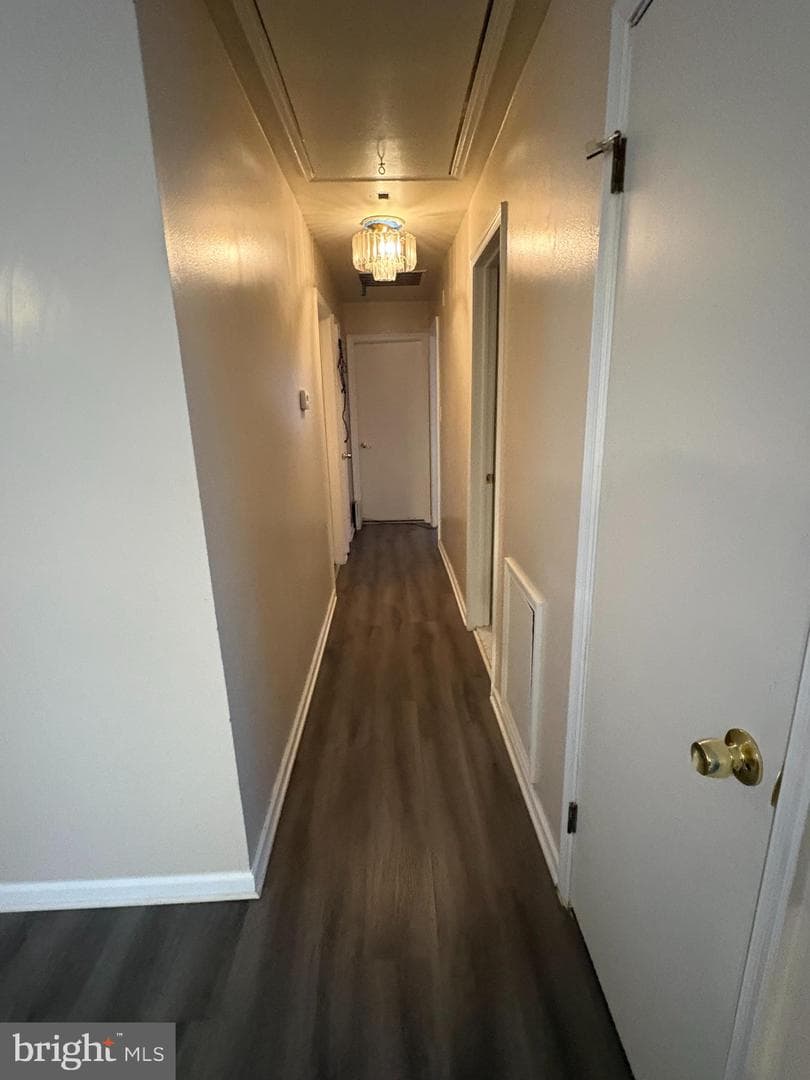 13001 Payton Drive photo 12