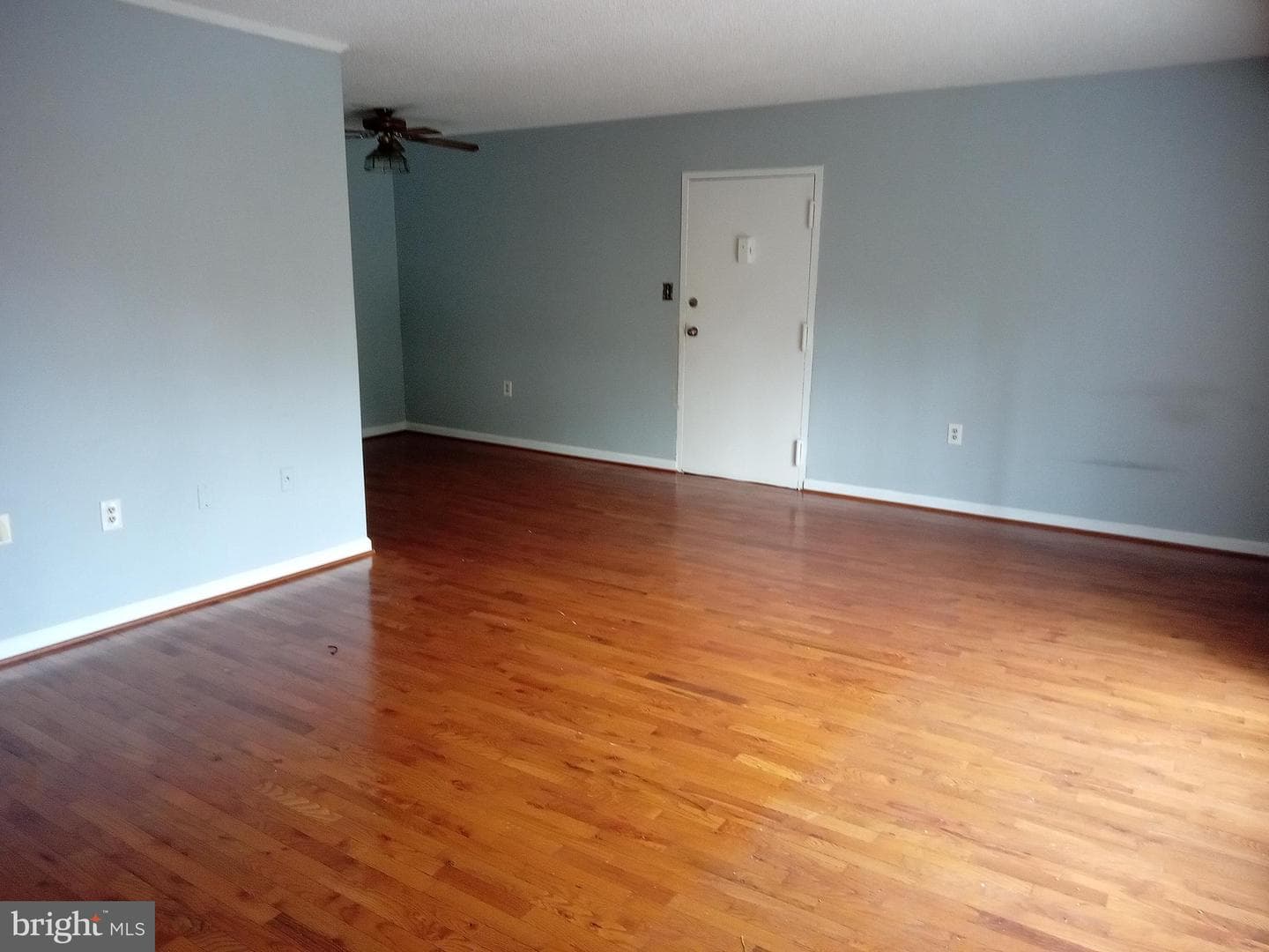 3803 Swann #304 photo 3