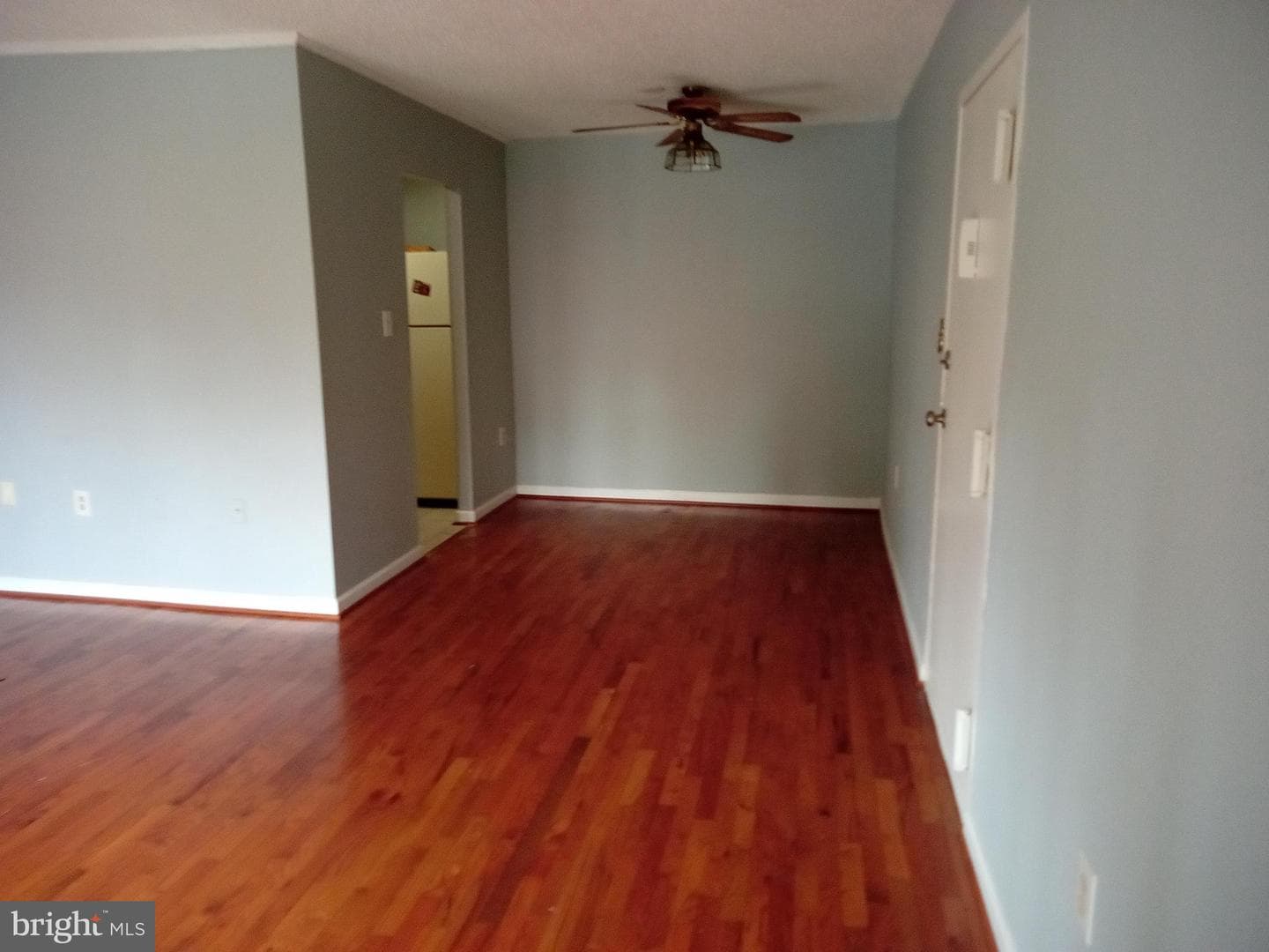 3803 Swann #304 photo 5