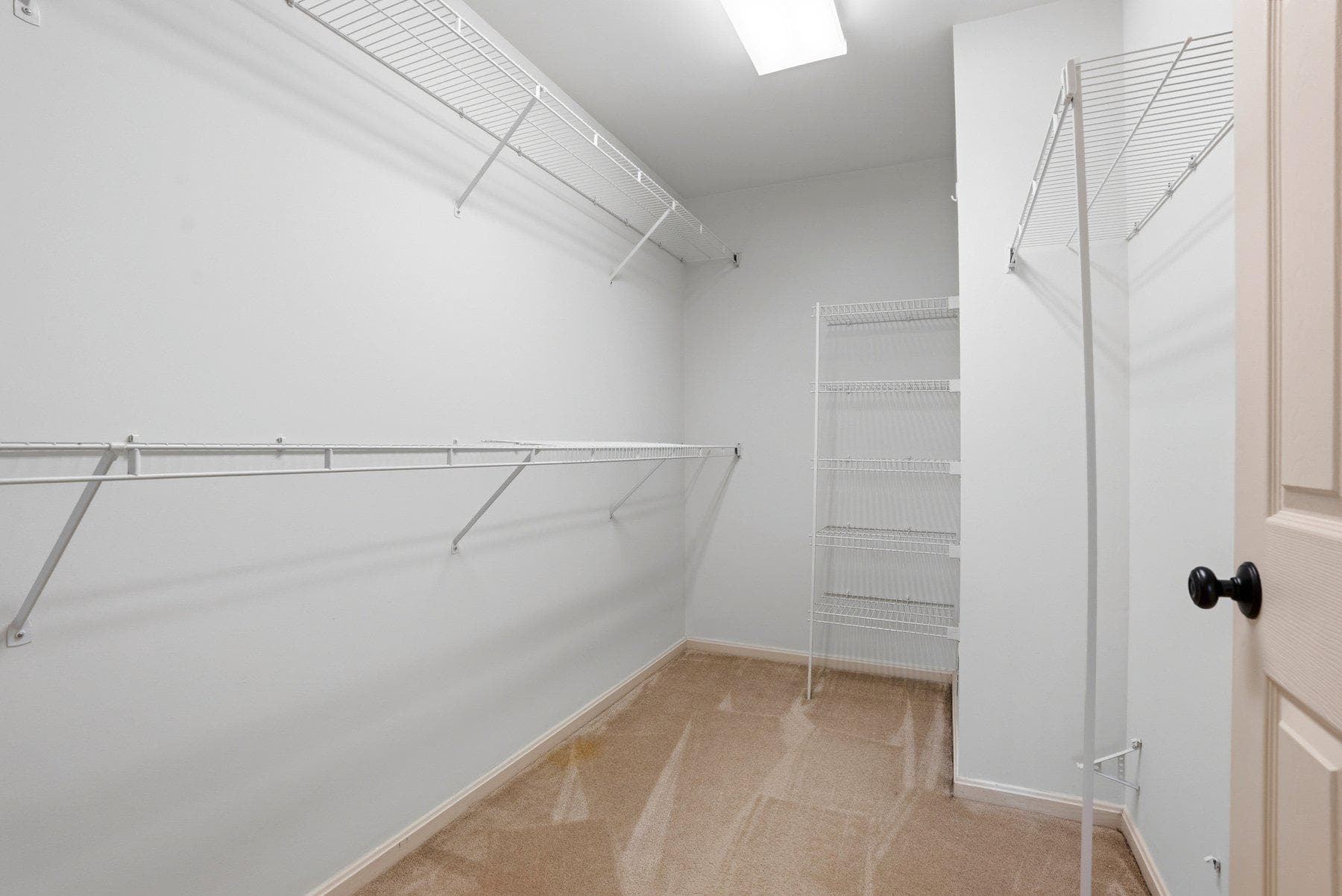8502 Bovelder Drive photo 32