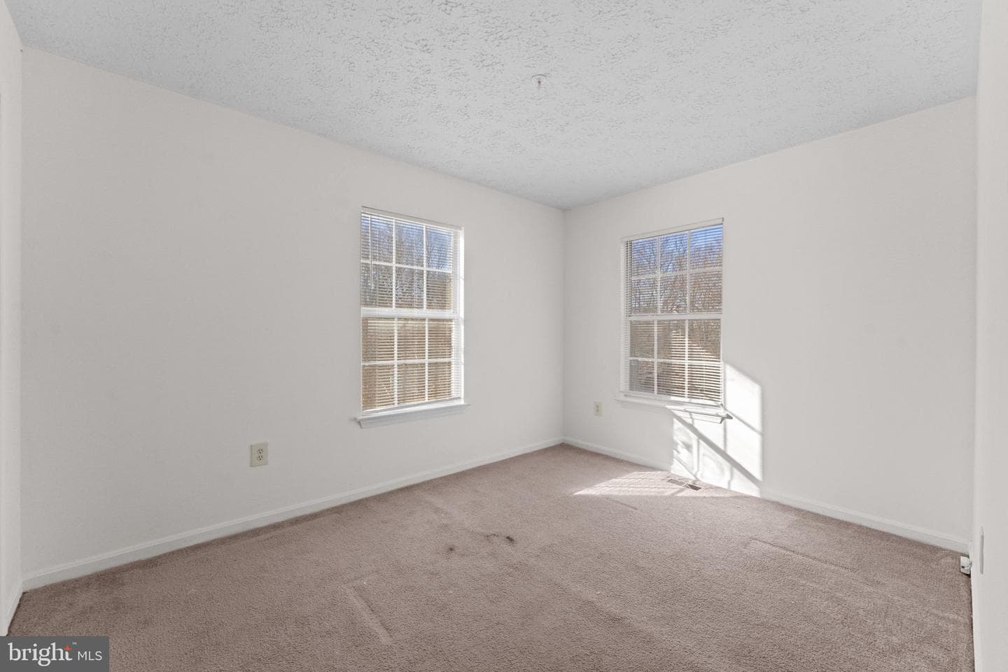 4043 Silver Park Terrace photo 21