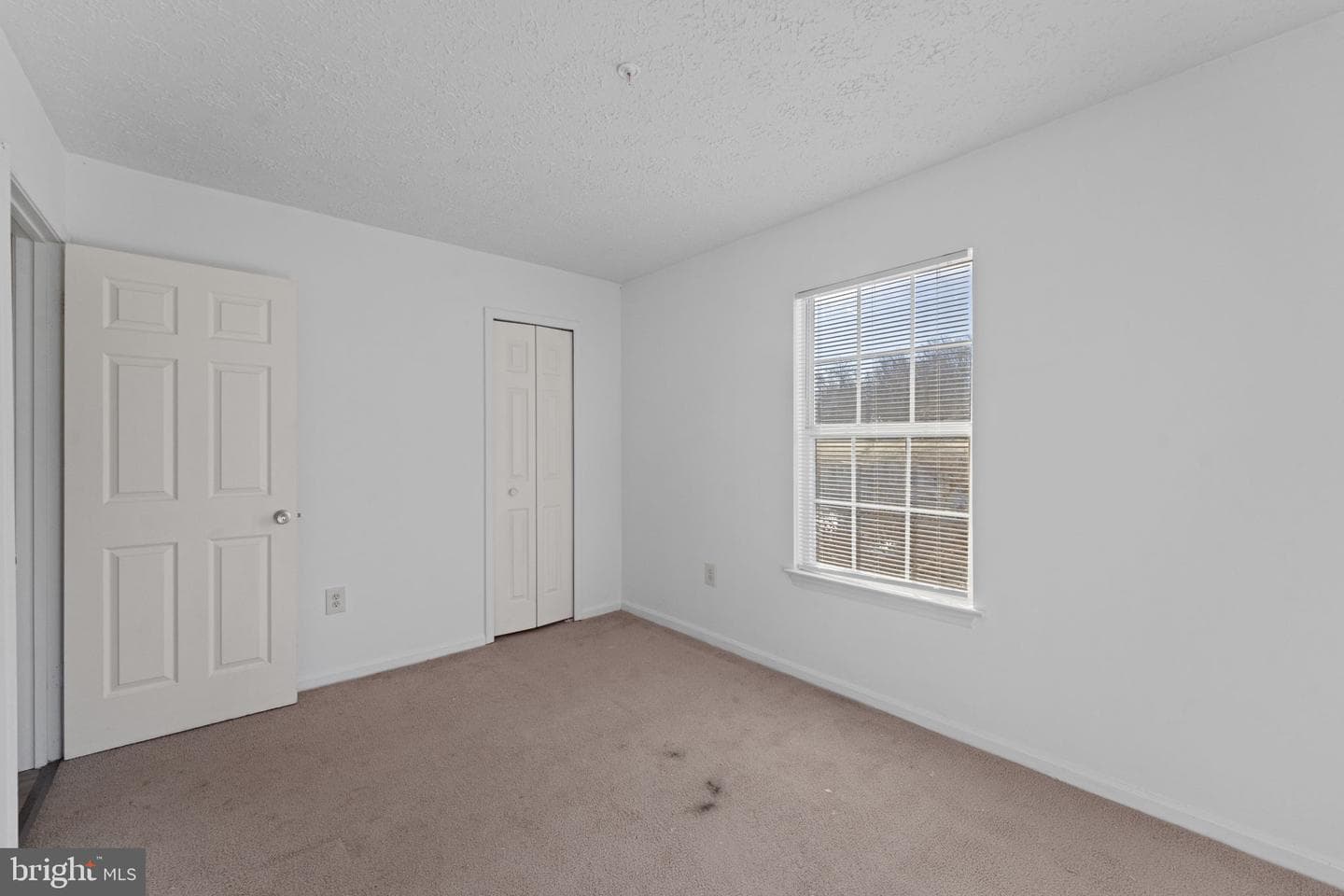 4043 Silver Park Terrace photo 23