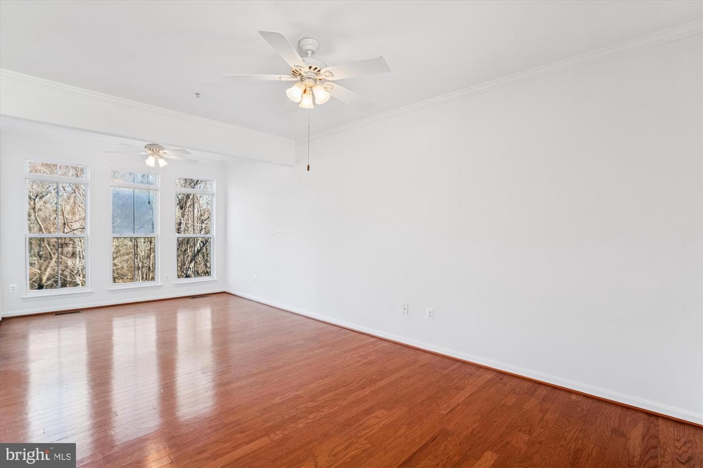 5602 Hartfield Avenue photo 8