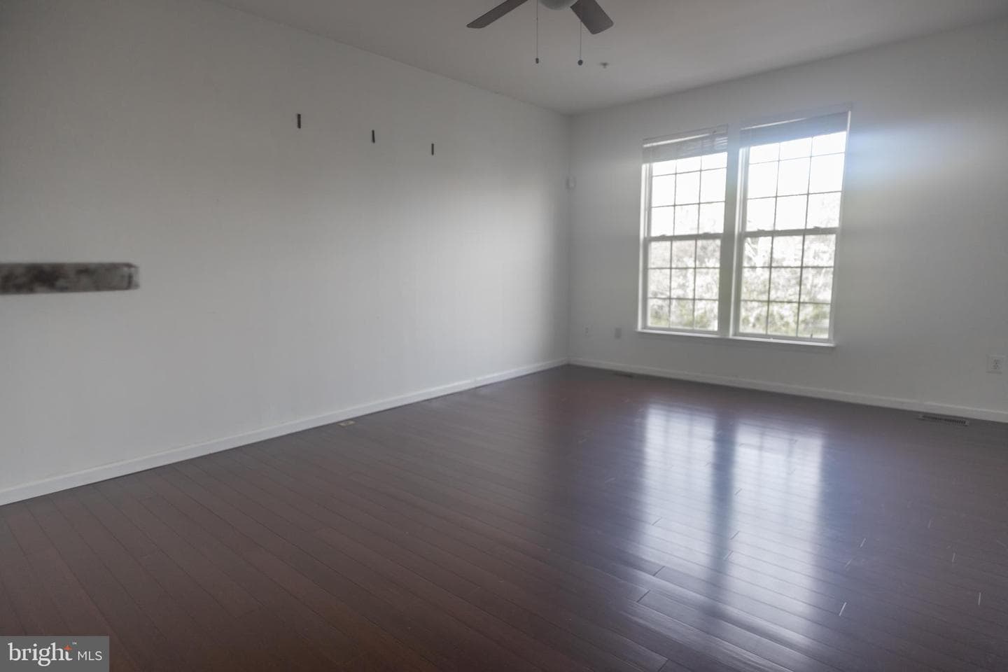 4404 Windflower Way photo 18