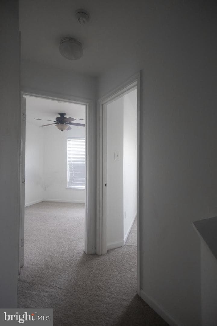 4404 Windflower Way photo 27