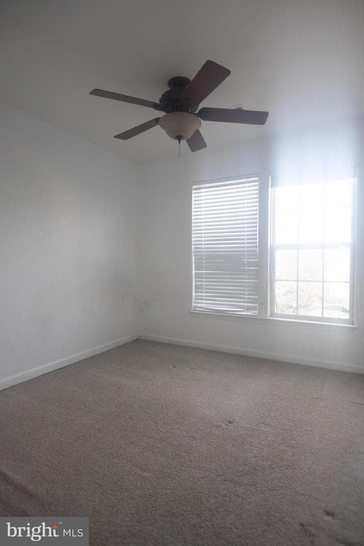 4404 Windflower Way photo 29