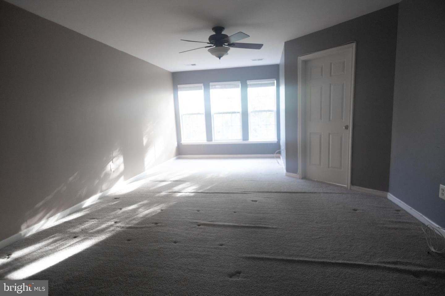 4404 Windflower Way photo 38