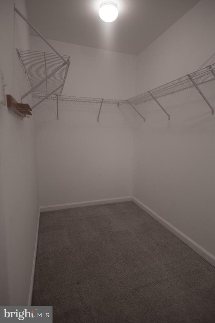 4404 Windflower Way photo 45