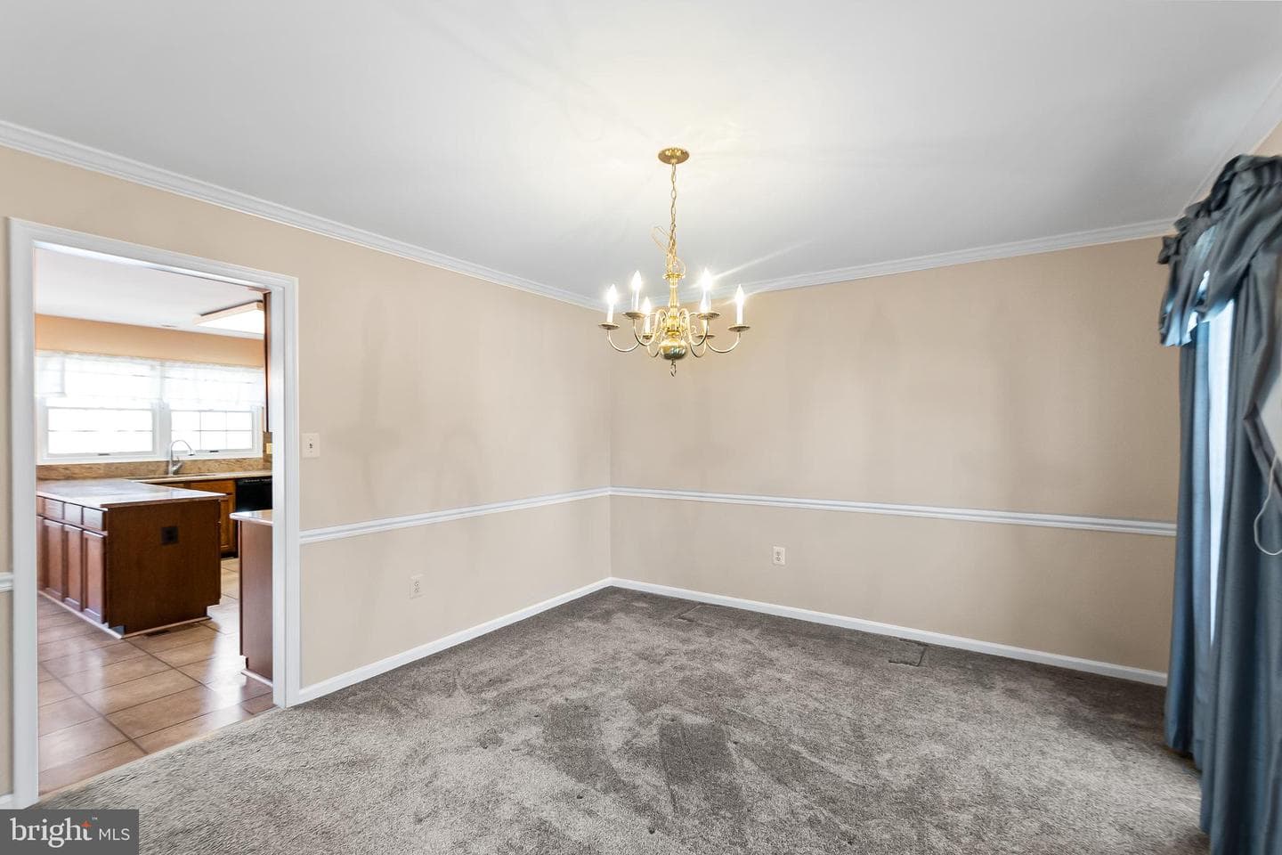 8719 Brazke Court photo 7