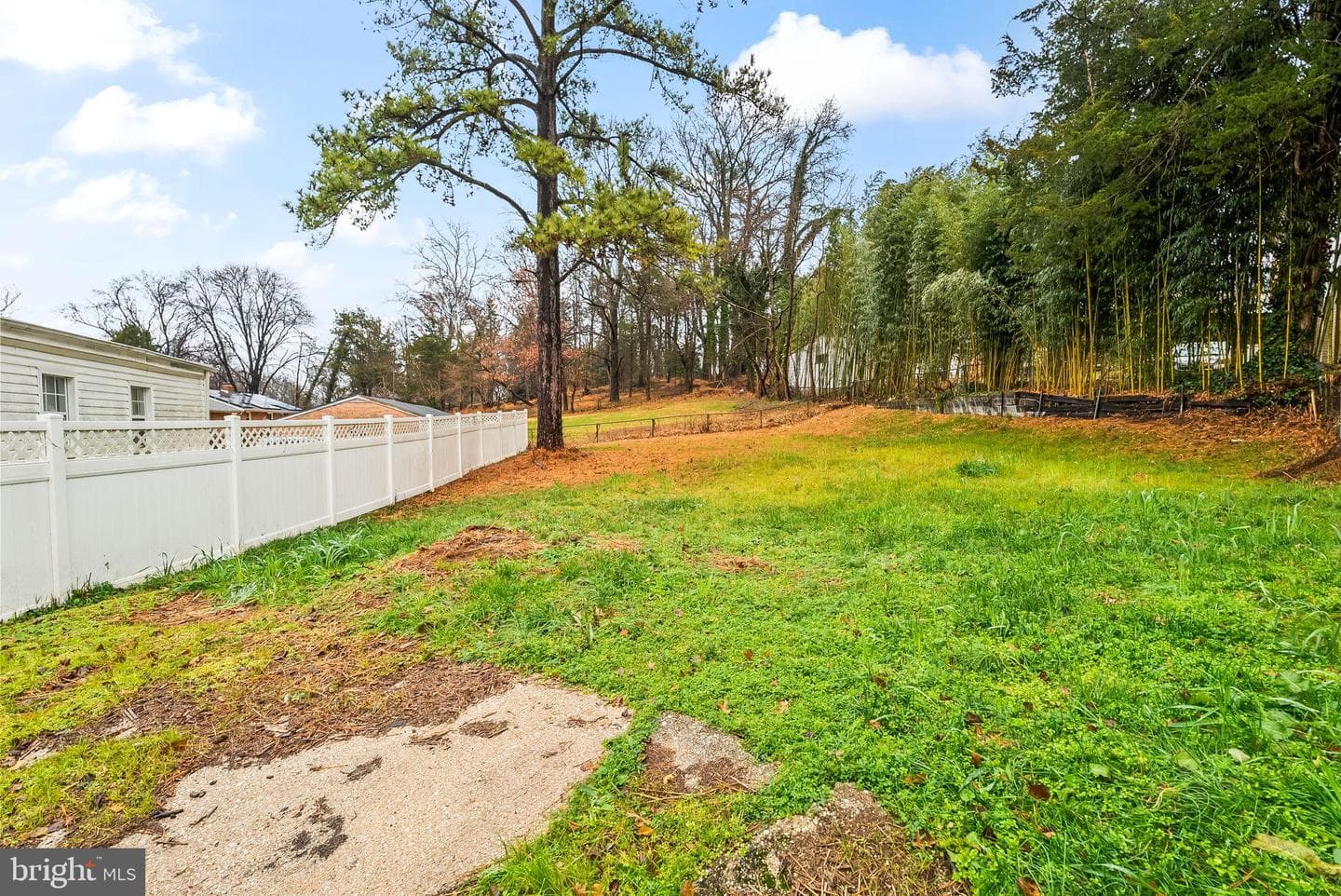 4302 Henderson Road photo 32