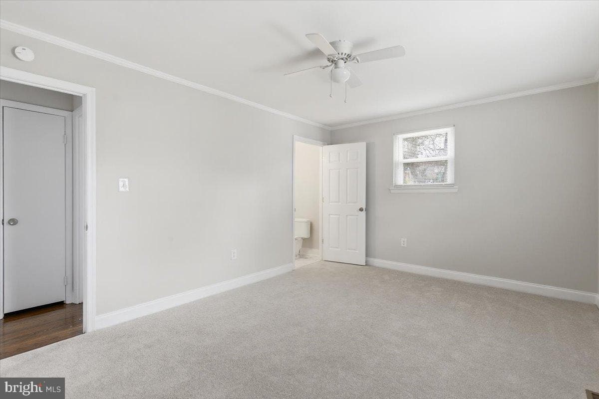 405 Birchleaf Avenue photo 19