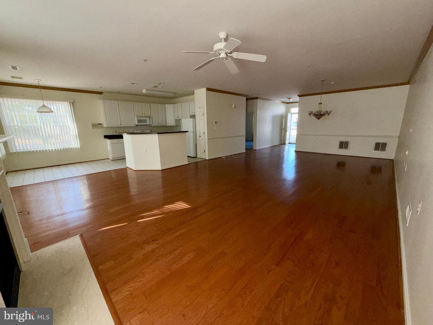 308 Dunnville Place photo 24
